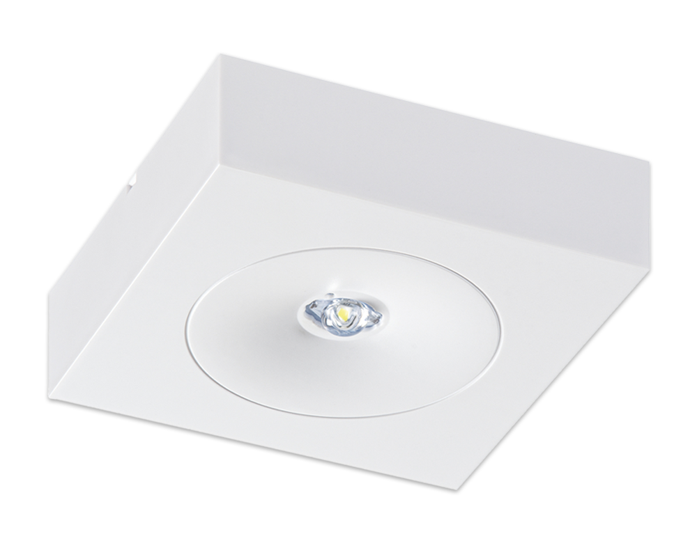 Shine 125R PQ-F